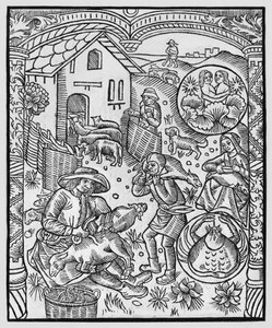 يونيو ، قص الأغنام ، الجوزاء ، توضيح من "Almanach des Bergers" ، 1491 (xylograph)